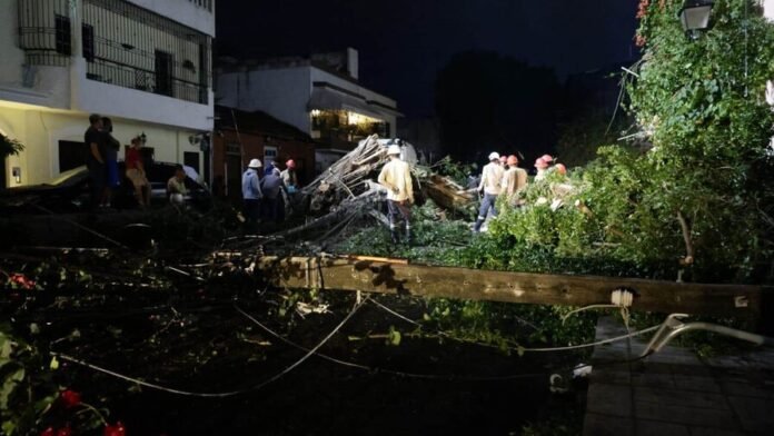 En la Zona Colonial, varios árboles fueron derribados por los vientos, impactando varios vehículos y afectando el tendido eléctrico, específicamente entre las calles Arzobispo Portes y 19 de Marzo. (DIARIO LIBRE/SAMIL MATEO DOMINICI)